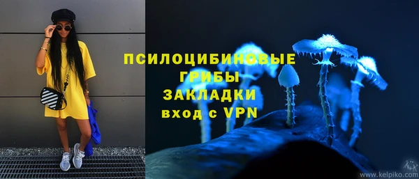 дживик Армянск