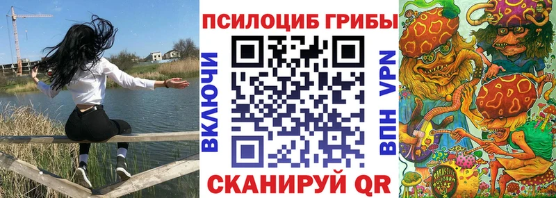 как найти наркотики  Иланский  Псилоцибиновые грибы Cubensis 